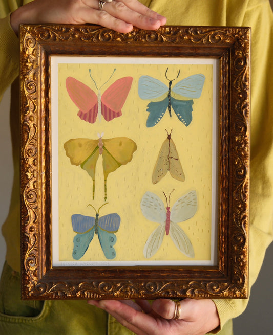 Flying Beauties | Fine Art Print